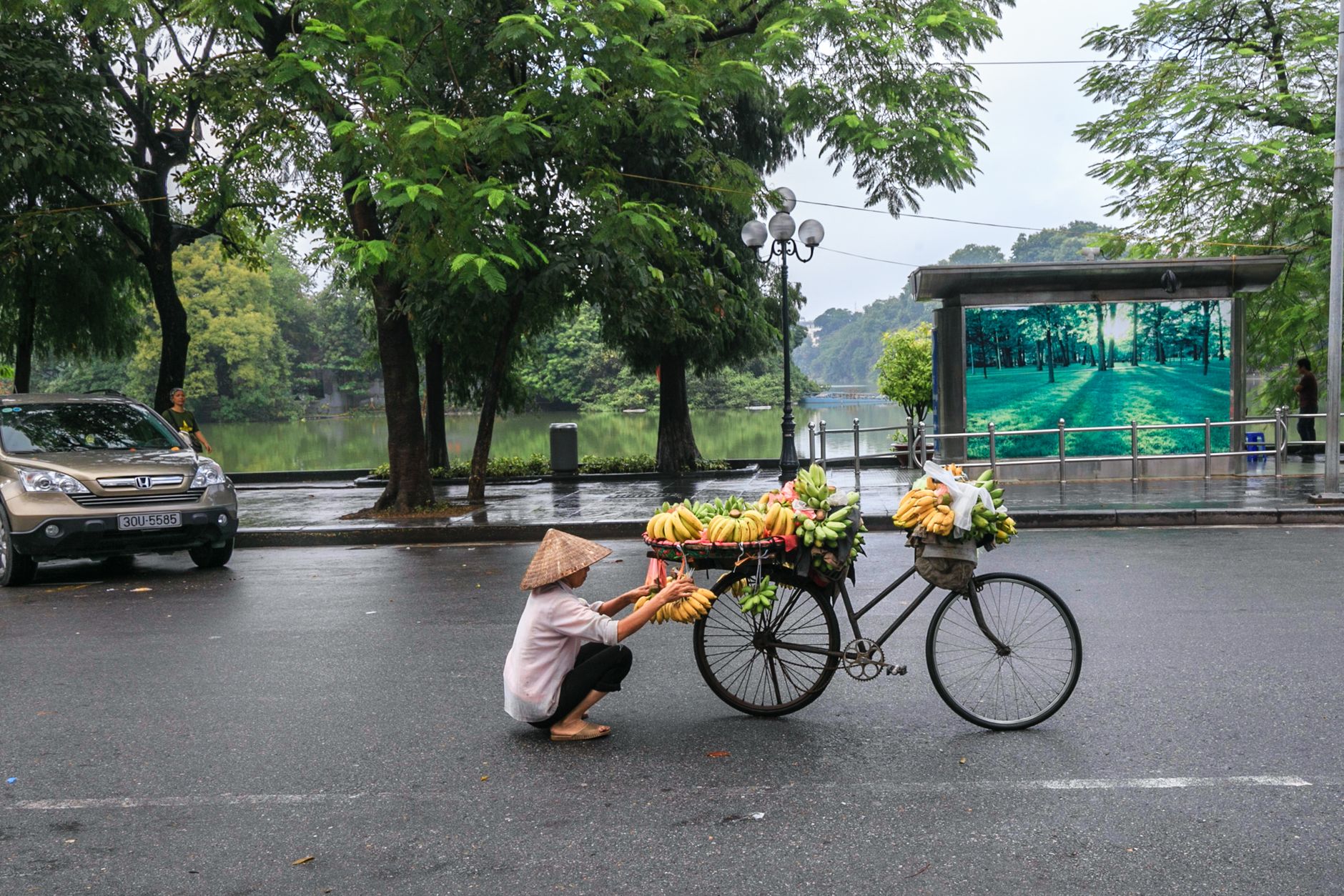 A fruit vendor arranging bananas on a bicycle in Hanoi street, Vietnam.